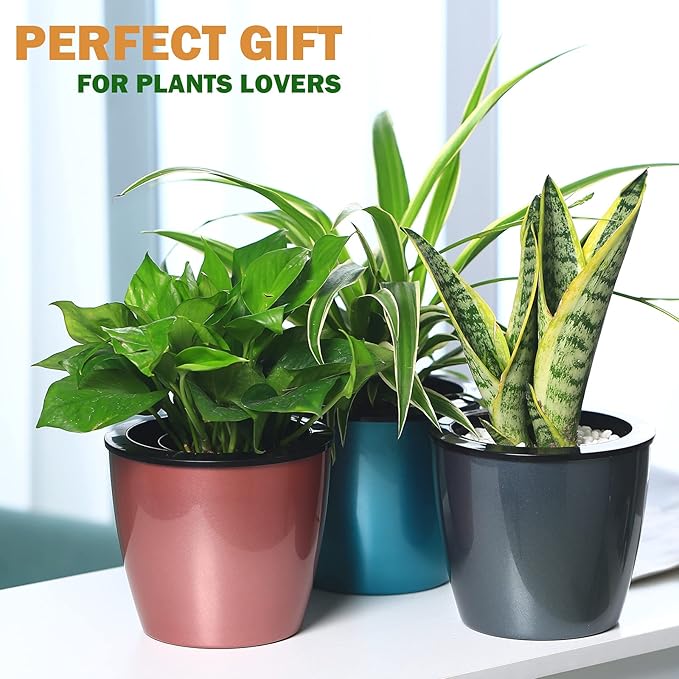 Planterhoma 6.7 Inch Self Watering Pots for Indoor Plants, 5 Packs African Violet Pots with Black Wick Pots, Self Watering Planters for Devil's Ivy, Indoor Plant Pots, Silver Gold