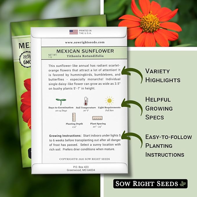 Sow Right Seeds - Mexican Sunflower Seeds for Planting - Non-GMO Heirloom Packet with Instructions for Growing - Bright Orange Blooms, Super Tall Stalks - Enjoys Outdoors or Indoors as Cut Flower (3)