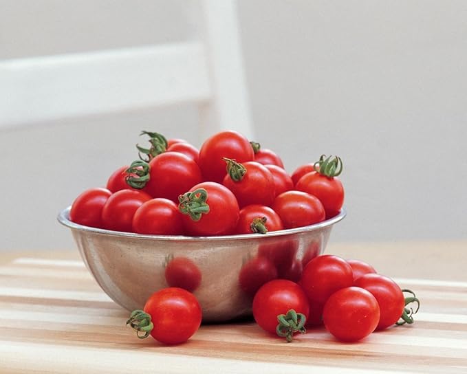 Burpee Super Sweet 100' Hybrid Cherry Tomato, 50 Seeds & Straight Eight Slicing Cucumber Seeds 200 Seeds