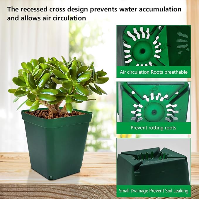 Square Nursery Succulent Pots 4 Inches 60 Pcs Deep Flower Plant Nursery Seedling Grow Pots Plastic with Drainage (Green, 4Inches, 60Pcs)