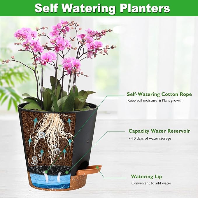 Orchid Pots with Holes, 6 Inch Self Watering Orchid Pot 2 Pack Plastic Plant Pots for Orchid, Flower (Black+Brown)