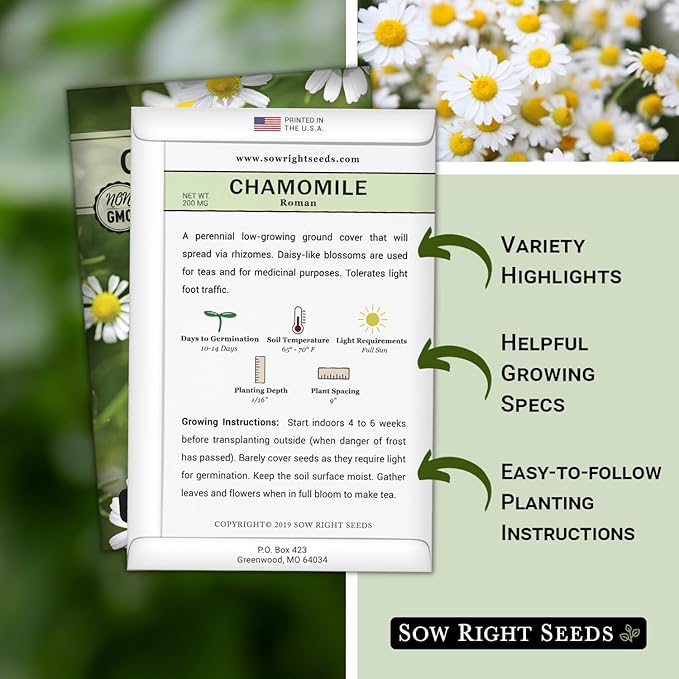 Sow Right Seeds - Roman Chamomile Seeds for Planting - Non-GMO Heirloom Packet with Instructions to Grow an Herbal Tea Garden - Indoors or Outdoor - Low Growing with Small Daisy-Like Blooms (2)