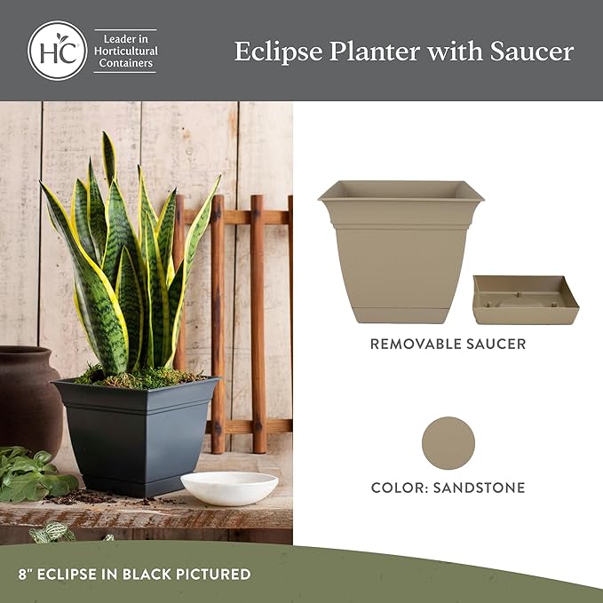 The HC Companies 12 Inch Eclipse Square Planter with Saucer – Indoor Outdoor Plant Pot for Flowers Vegetables Herbs, Sandstone