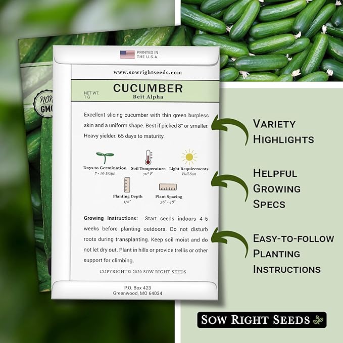 Sow Right Seeds - Beit Alpha Cucumber Seeds for Planting - Non-GMO Heirloom Packet with Instructions to Plant and Grow a Home Vegetable Garden - Start Indoors, Plant Outdoors with Trellis (2)