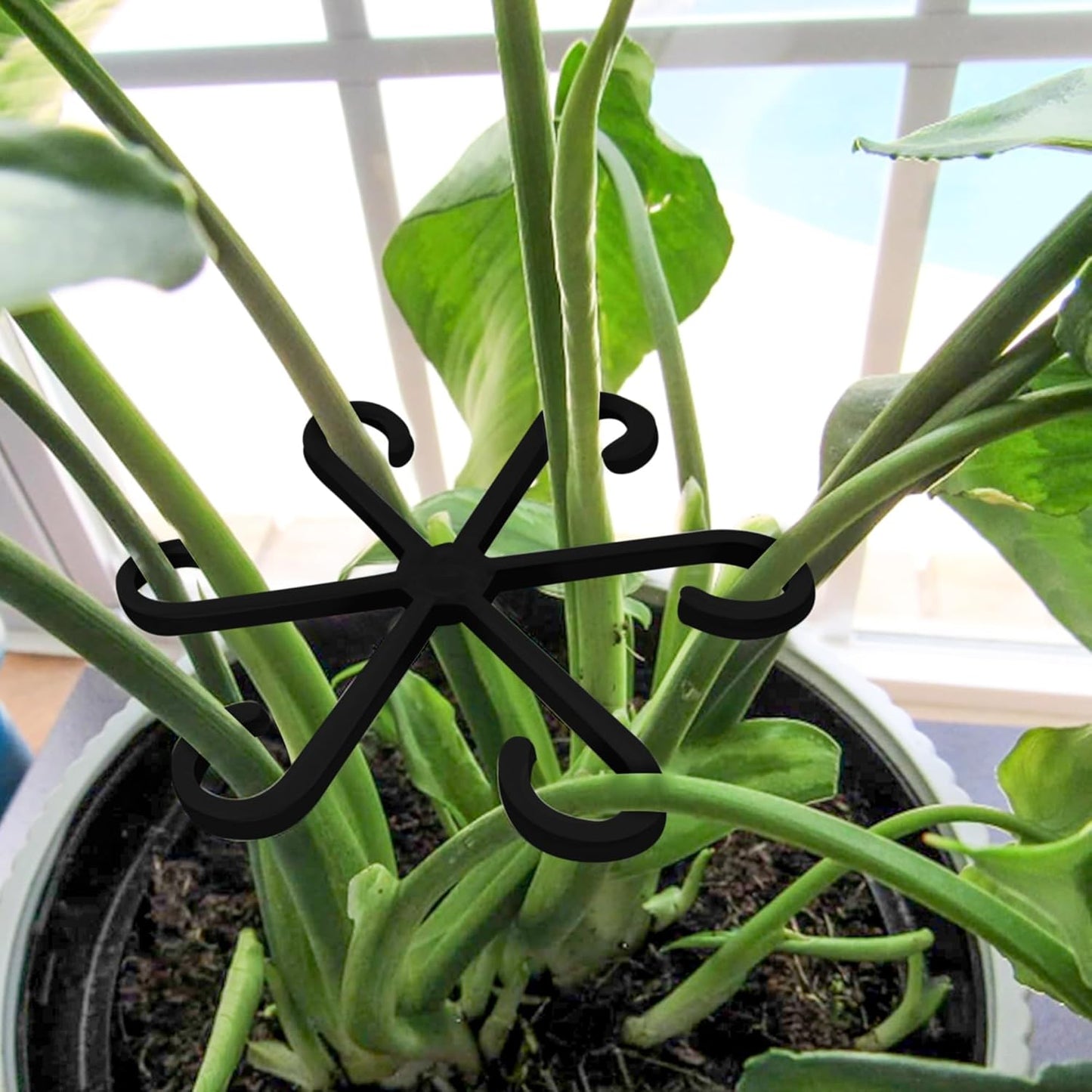 Plant Stem Support Set, 8Pcs 4 Sizes Plant Trellis Rings for Climbing Plants Indoor, Support Holder Ring for Different Growth Stages, Climbing Houseplant Trellis for Potted (Black)