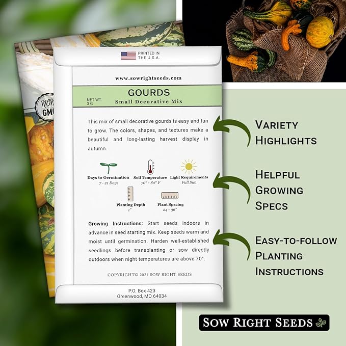 Sow Right Seeds - Decorative Small Gourds Mix Seed for Planting - Non-GMO Heirloom Packet with Instructions to Plant & Grow an Outdoor Home Vegetable Garden - Fun, Colorful and Unique Squash (2)