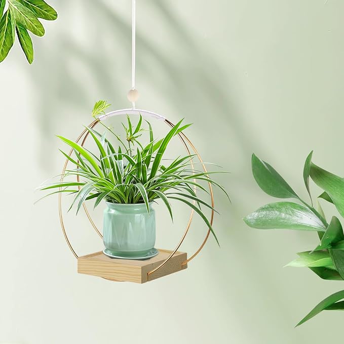 Hanging Planters for Indoor Plants, Plant Hanger with Sturdy Wood Base,Modern Boho Macrame Plant Hanger,Wall Ceiling Window Stands(Plants/Pots Not Included)