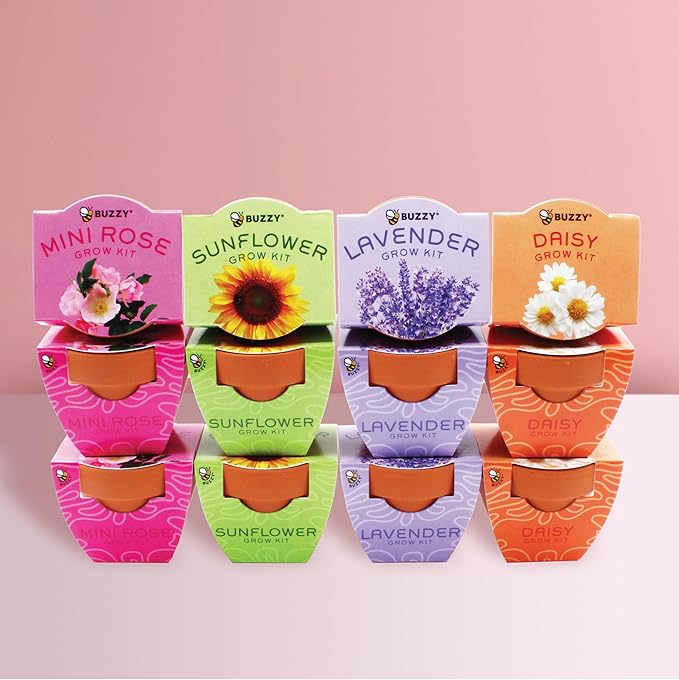 BUZZY Seeds Terracotta Mini Grow Pots | Herb, Plant, Flower Starter Kit for Kids & Adults | Assorted 12-Pack, Bright Series Collection | Guaranteed to Grow | Best Indoor-Outdoor Gardening Gift