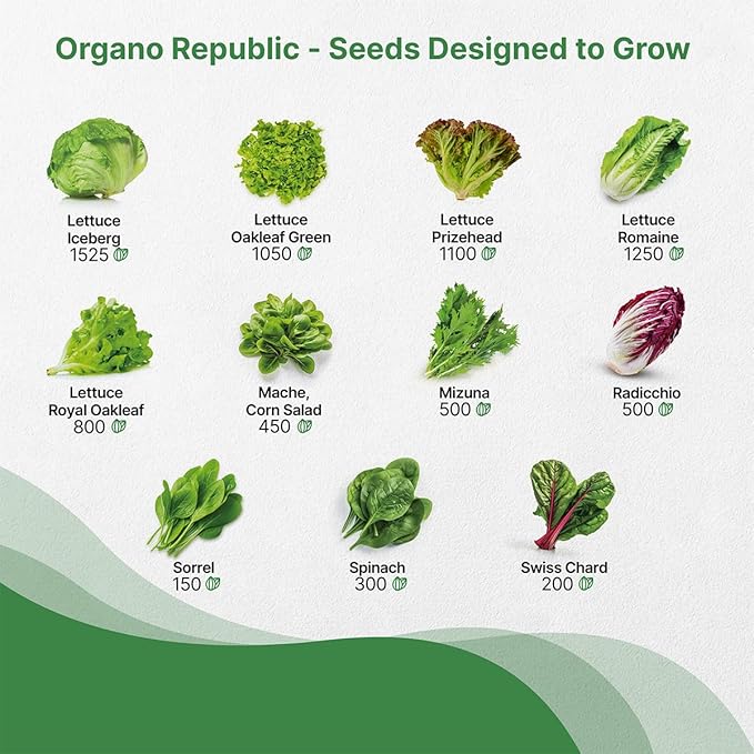 22 Lettuce & Salad Greens Seeds Variety Pack 24,700+ Non-GMO Heirloom Lettuce Seeds for Indoors & Outdoors Garden, Hydroponics, Aerogarden - Arugula, Kale, Spinach, Swiss Chard, Lettuce