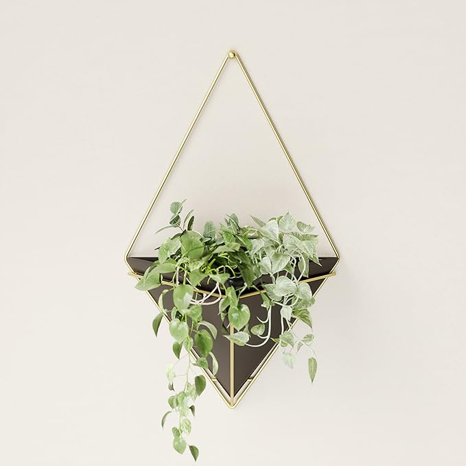 Umbra Trigg Hanging Planter Vase Wall Decor, Pot and Container for Succulents, Cactus, Faux Plants, and More, Large, Black/Brass