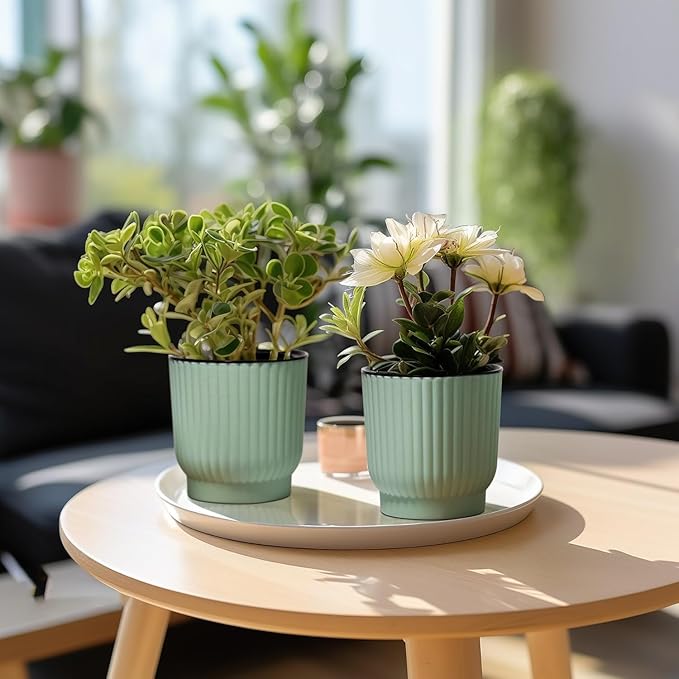 T4U African Violet Pots, 4 Inch Self Watering Pots for Indoor Plants, 6 Pack Small Planters, Durable Mint Green Plastic Small Pots for Indoor Plants, Flower