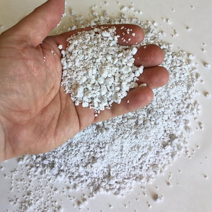 Organic Perlite for Plants, Soil Amendment for Enhanced Drainage and Growth, Ideal for Potting Mixes(2 Quart)