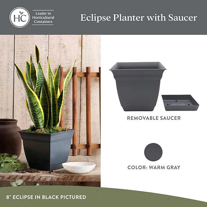 The HC Companies 6 Inch Eclipse Square Planter with Saucer - Indoor Outdoor Plant Pot for Flowers Vegetables Herbs, Warm Gray (Pack of 4)