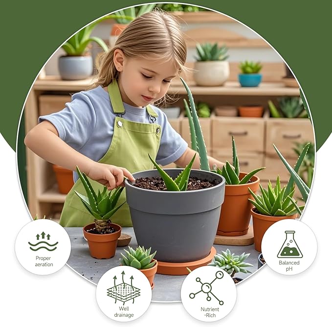 Aloe Vera Potting Soil Mix 1qt, Ready to Use for Seedling and Growing of Aloe Vera Plants or Other Houseplants