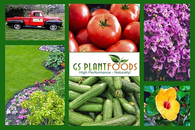 Kelp Fertilizer by GS Plant Foods (5 Gallon) - Organic Liquid Fertilizer for Gardens, Lawns & Soil - Liquid Kelp Concentrate
