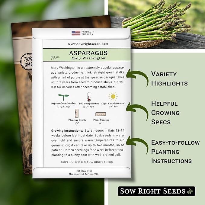 Sow Right Seeds - Mary Washington Asparagus Seed for Planting - Non-GMO Heirloom Packet with Instructions to Plant an Outdoor Home Vegetable Garden - Classic Perennial Stalks with Hearty Flavor (2)