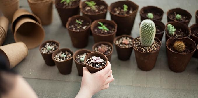 Daniel's Plants 4" Naked Pots | Large Natural Plantable Seed Starter Pots | OMRI-Listed Biodegradable Pots for Seedlings | Enhanced Aeration | Earth Friendly - Peat Free | 10 Pack 4 Inch Round