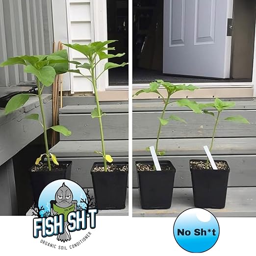 Fish Head Farms Organic Soil Conditioner for Yield and Flavor Enhancement. Improves Fertilizer Efficiency. Useful in Both Garden Soil and Hydroponics Applications. 500 mililiters