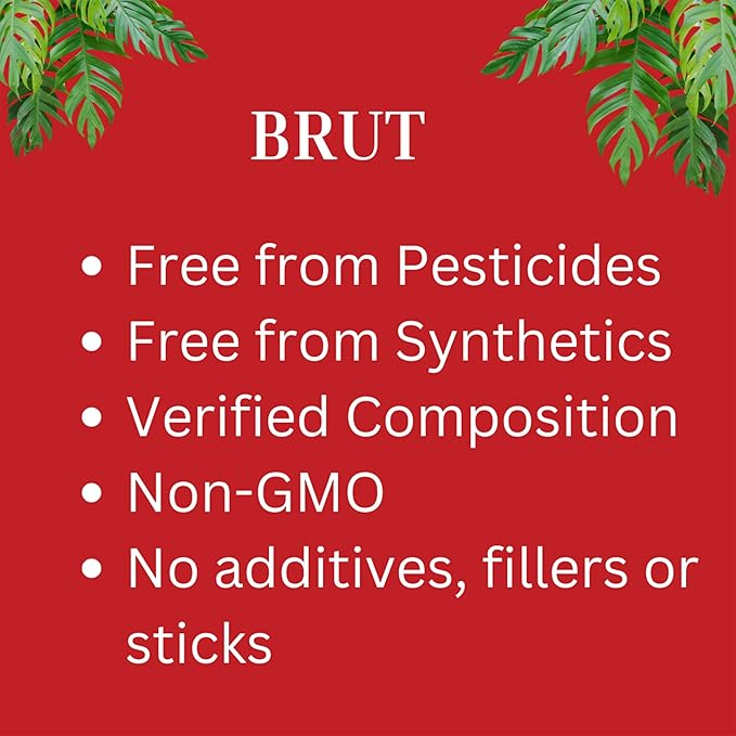 Brut Organic Potting Soil – 1 CF – Everything Your Plants Need in one Bag. Indoor and Outdoor Container Plants.