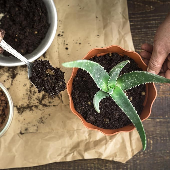 Aloe Vera Potting Soil Mix 1qt, Ready to Use for Seedling and Growing of Aloe Vera Plants or Other Houseplants