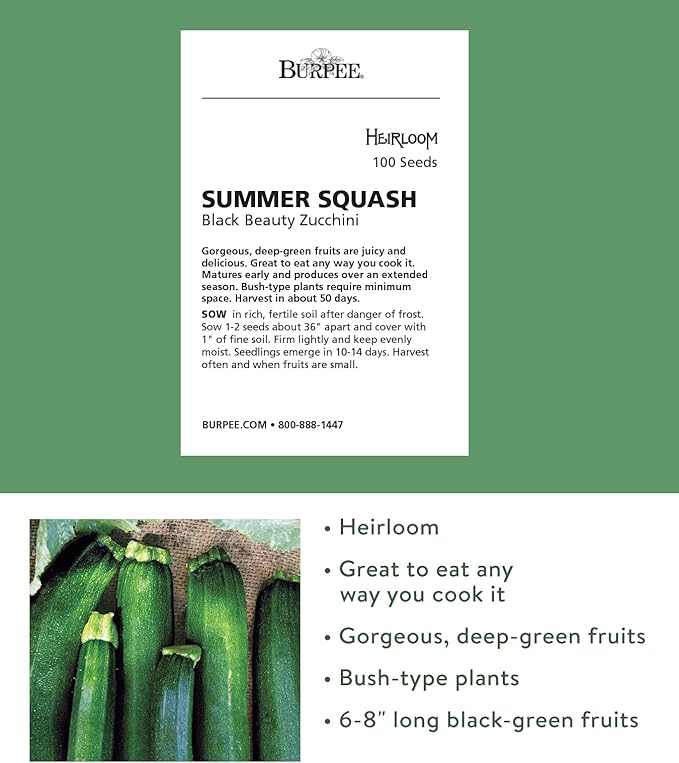 Burpee Super Sweet 100' Hybrid Cherry Tomato, 50 Seeds & Black Beauty Zucchini Summer Squash Seeds 100 Seeds
