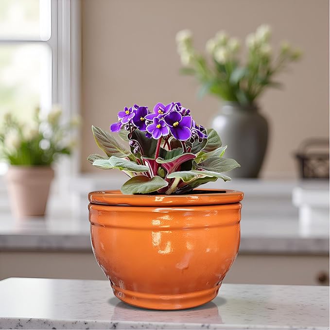 African Violet Pots Self Watering Round Ceramic Violet Pot (Orange, 6 inch)