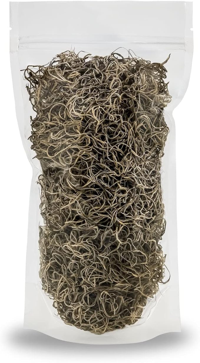 Premium Natural Spanish Moss | Natural Preserved - Great Ground Cover - Filler for Potted Plants - by GARDENERA - 3 Quart Bag