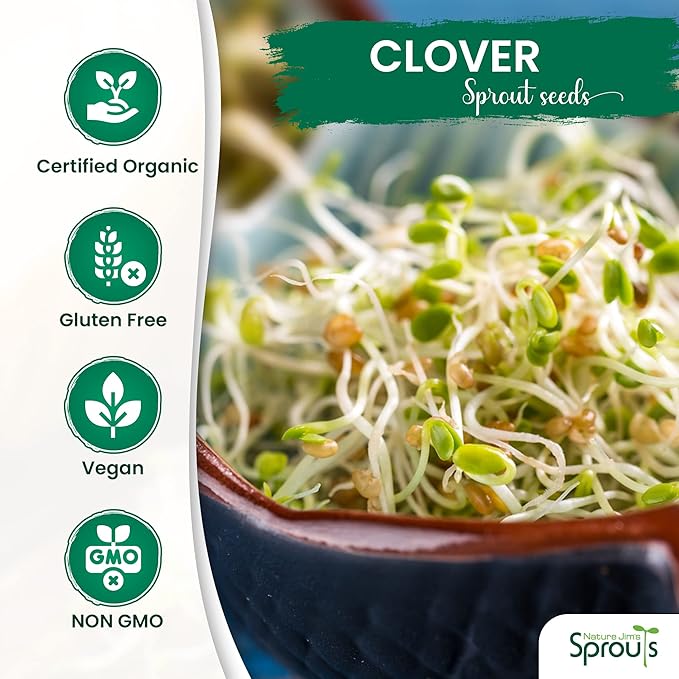 Nature Jims Sprout/Sprouting Seeds, Clover – Organic Non-GMO Premium Resealable Bag for Longer Freshness Rich in Vitamins, Minerals, Fiber, 16 oz