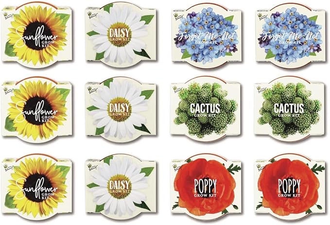Buzzy Seeds Terracotta Mini Grow Pots | Herb, Plant, Flower Starter Kit for Kids & Adults | Assorted 12-Pack, Daydream Collection | Guaranteed to Grow | Best Indoor-Outdoor Gardening Gift