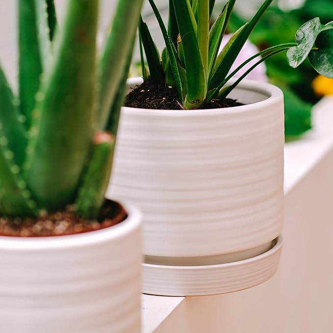 6 + 8 Inch Plant Pots, Ceramic Planter Pot with Drainage Hole & Saucer, Indoor/Outdoor Cylinder Round Planter Pot, Matte White