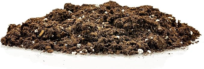 Money Tree Potting Soil - 10 Quart - Soil Mix for Planting or Repotting Guiana Chestnut, Soil Blended to Properly Grow Money Tree Plants (2 Bags of 5 Quart)