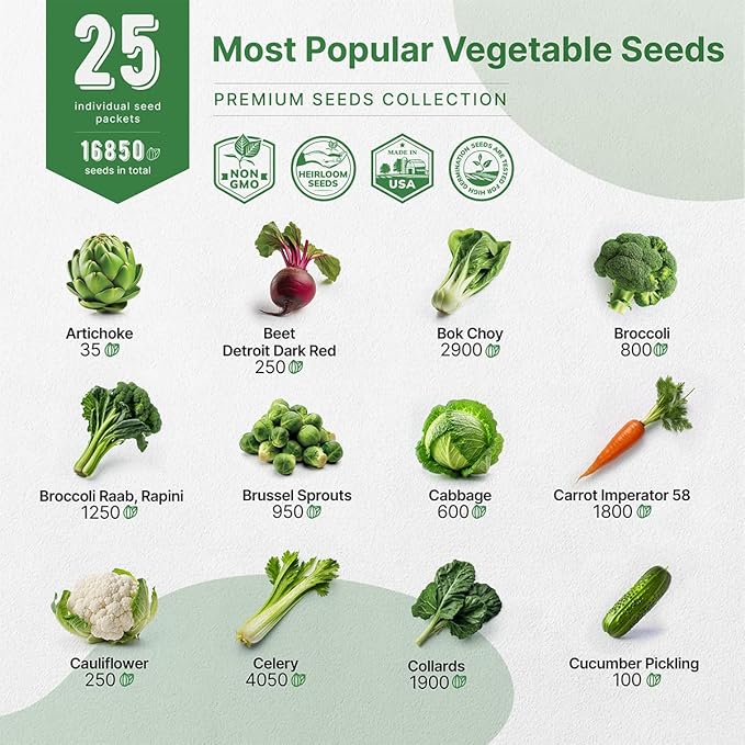 25 Most Popular Herb Seeds Variety Pack - 11,700 Non-GMO Heirloom Seeds for Planting Herbs in Individual Seed Packets for Hydroponic, Indoor & Outdoor Gardening