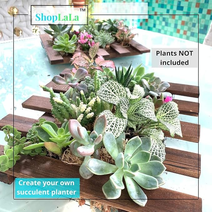 ShopLaLa Wall Planter - 2 Pack Wooden Hanging Succulent Wall Decor, Live Air Plants Orchids Wall Mounted Holder Frame Display for Indoor Outdoor, Living Plant Wall Decor Balcony Garden