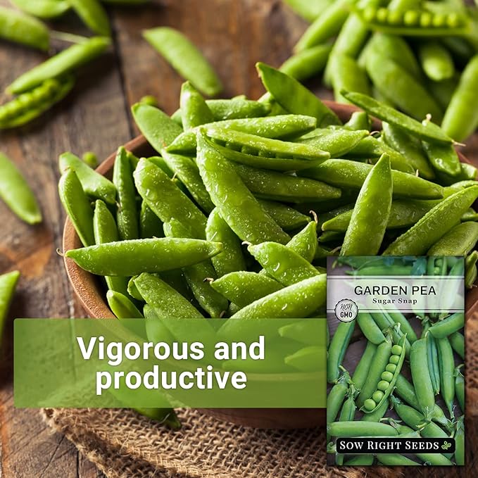 Sow Right Seeds - Sugar Snap Pea Seeds for Planting - Non-GMO Heirloom Packet with Instructions to Plant a Home Vegetable Garden - Grow Tons of Delicious Pods - Cool Season Crop, Super Productive (3)