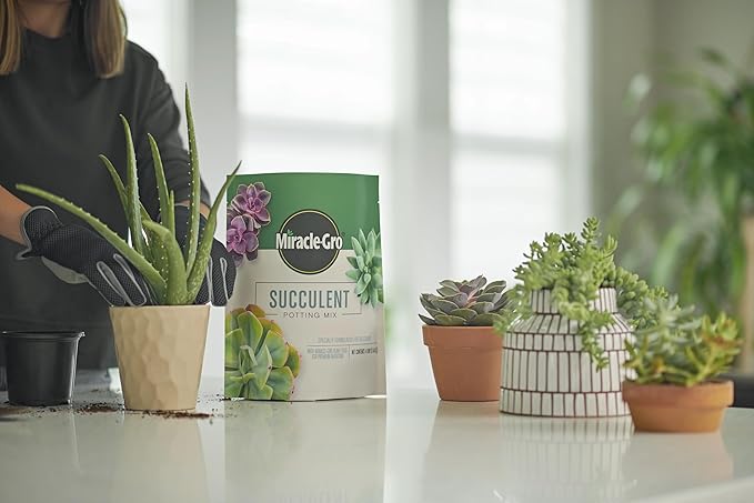 Miracle-Gro Succulent Potting Mix, for Indoor Succulents, Aloe Vera and More, Made with Miracle-Gro Plant Food, 4 qt. (3-Pack)