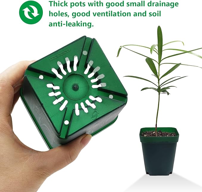 Square Seedling Nursery Pots 3.15 Inches 100 Pcs for Small Succulents or Cacti Flower Plastic Pots Sturdy Reusable (Green, 3.14Inches,100Pcs)