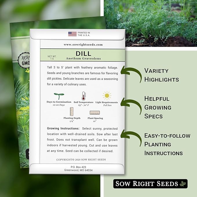 Sow Right Seeds - Dill Seed for Planting - Non-GMO Heirloom Packet with Instructions to Plant and Grow Herb Garden - Indoors or Outdoors - Homemade Dill Pickles - Wonderful Companion Plant (1)