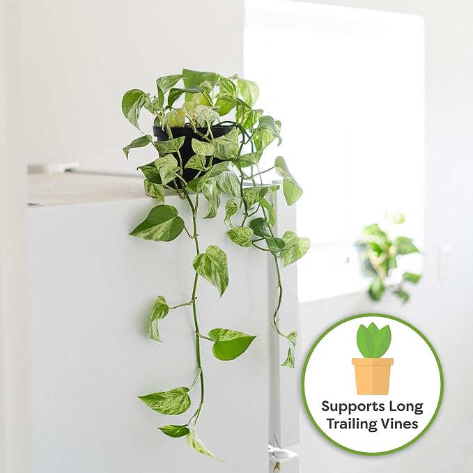 Perfect Plants Organic Pothos Soil | Horticultural Potting Mix for All Indoor Potted Pothos | Grow Healthy houseplants Indoors (8qts.)