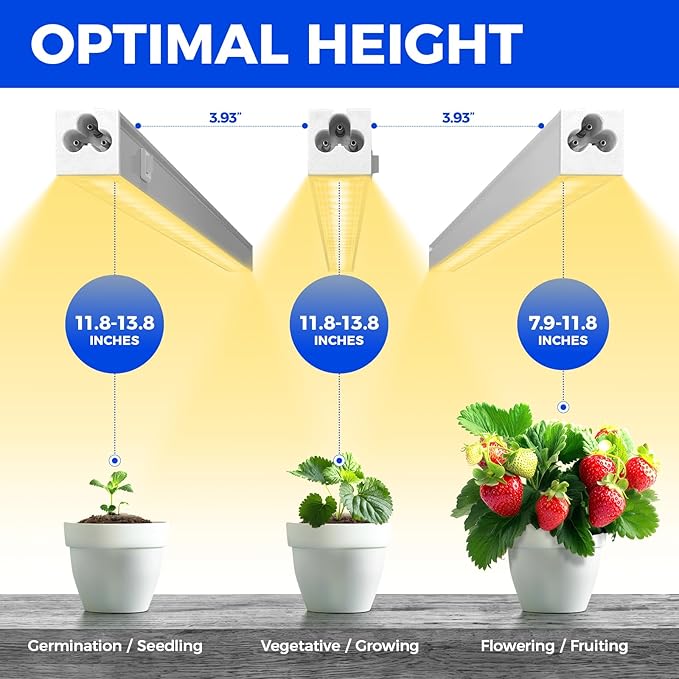 Barrina Grow Lights for Indoor Plants, Full Spectrum Sunlight, 1ft Plant Growing Lamp, LED Grow Light Bulbs, T5 Grow Light Strip, Plug and Play, Yellow, 4-Pack