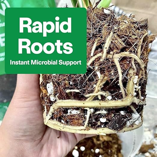 Noot Bio-Organic Plant Food Liquid Fertilizer - Makes 3.5 Gallons - Root Boosting Mycorrhizae - Fast Growth for Monstera, Aroid, Succulent, Orchid, Calathea, Philodendron - Use Every Watering (1 Vial)