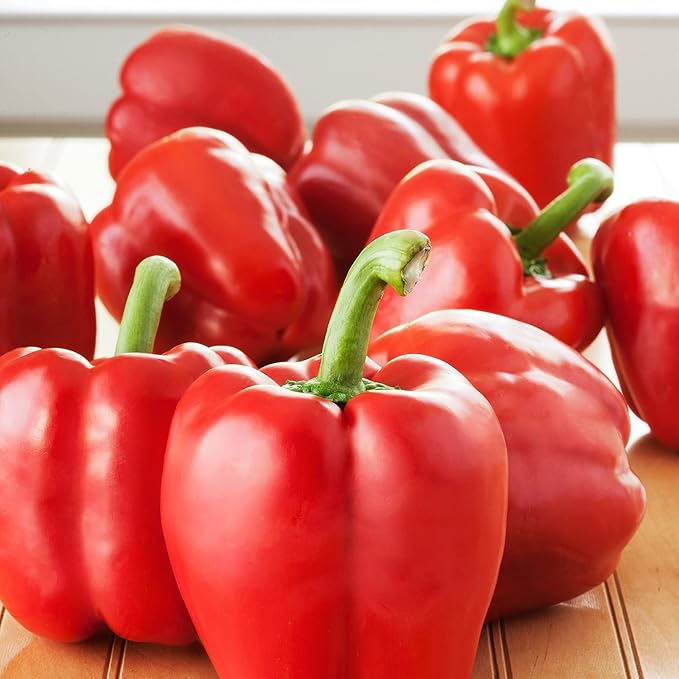 Bonnie Plants Red Bell Pepper Live Vegetable Plants - 4 Pack, Non-GMO, 2 - 3 Ft Plants, 4.5 x 4 Inch Pepper Size