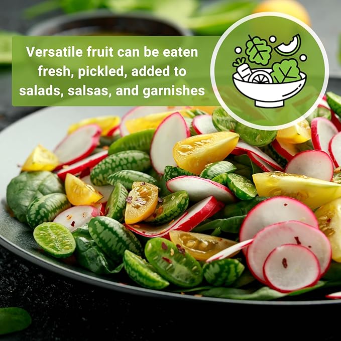 Sow Right Seeds - Cucamelon Seeds for Planting - Non-GMO Heirloom Packet with Instructions to Plant an Outdoor Home Vegetable Garden - Mini Bitter Mouse Melon, Mexican Sour Gherkin - Rare Variety (2)