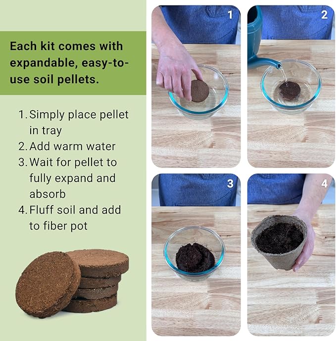 Sow Right Seeds - Coleus Seeds for Planting Indoors - Garden Starter Kit - Includes Pots & Potting Soil - Non-GMO Packet with Instructions - Vibrant Foliage for Indoors or Outdoors - Gardening Gift