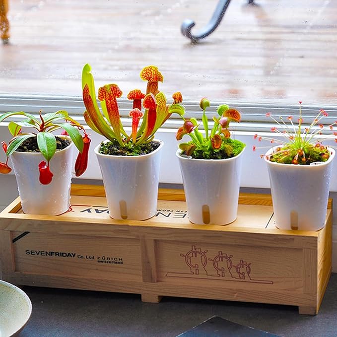 3" Self Watering Pots,10 Sets Self Watering Planter Pots for Indoor Plants with Water Level Indicator and Multiple Vents,Self Watering Planters,Self Watering Plant Pot for House Plants,Flowers,Herbs