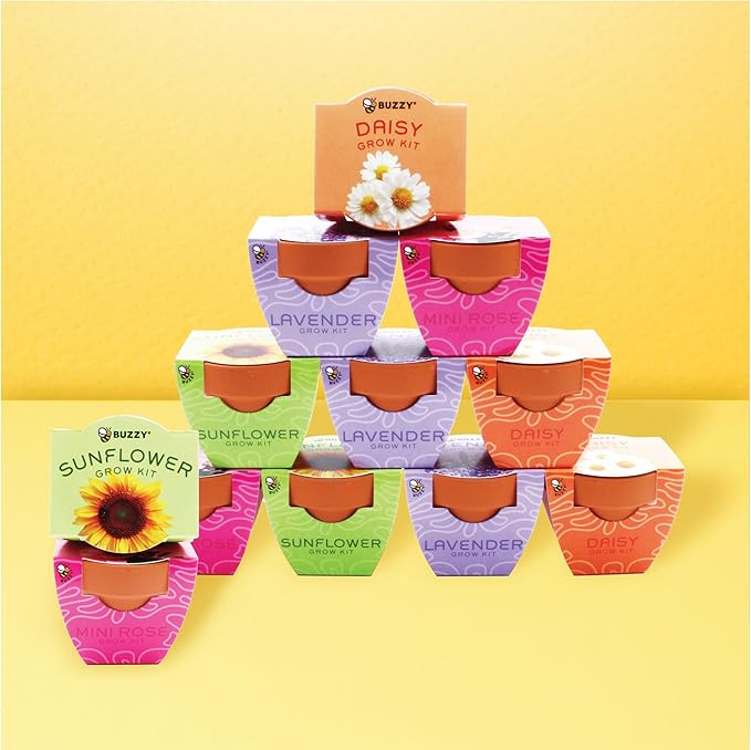 BUZZY Seeds Terracotta Mini Grow Pots | Herb, Plant, Flower Starter Kit for Kids & Adults | Assorted 12-Pack, Bright Series Collection | Guaranteed to Grow | Best Indoor-Outdoor Gardening Gift