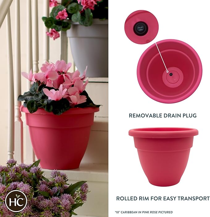 The HC Companies 6 Inch Caribbean Planter - Lightweight Indoor Outdoor Plastic Plant Pot for Herbs and Flowers, Pink Rose