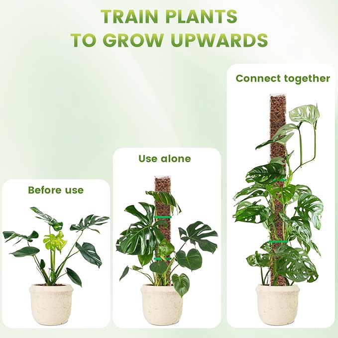 EOX 6 Pcs 24 Inch Plastic Moss Pole for Plants Monstera, Plant Poles for Climbing Plants, Plant Support for Indoor Plants Work with Sphagnum Moss, Garden Ties
