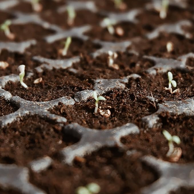 3-Pack Coco Coir Bricks, Premium Organic Peat Moss Mix for Plants, Low EC & pH Balance, Fiber Coconut Husk. Ideal for Gardening, Potting Soil & Substrate