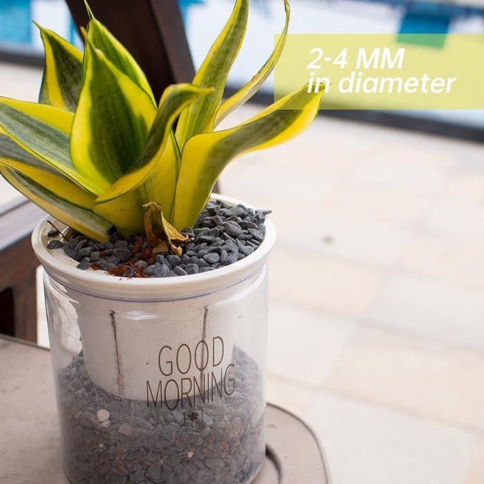 Anothera Stones for Plants, 3LB Smooth Natural Black River Rocks, Plant Aquarium Gravel Stones for Succulents Bonsai Terrarium Vase Fillers Fish Tank Indoor Outdoor Garden Decor(6-9 mm)