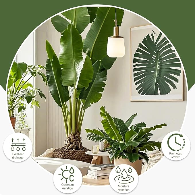 Premium Banana Tree Potting Mix for Optimal Seedling Growth 2qt, Suitable for All Indoor and Outdoor Banana Tree Varieties